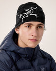 Arc'teryx Merino Toque