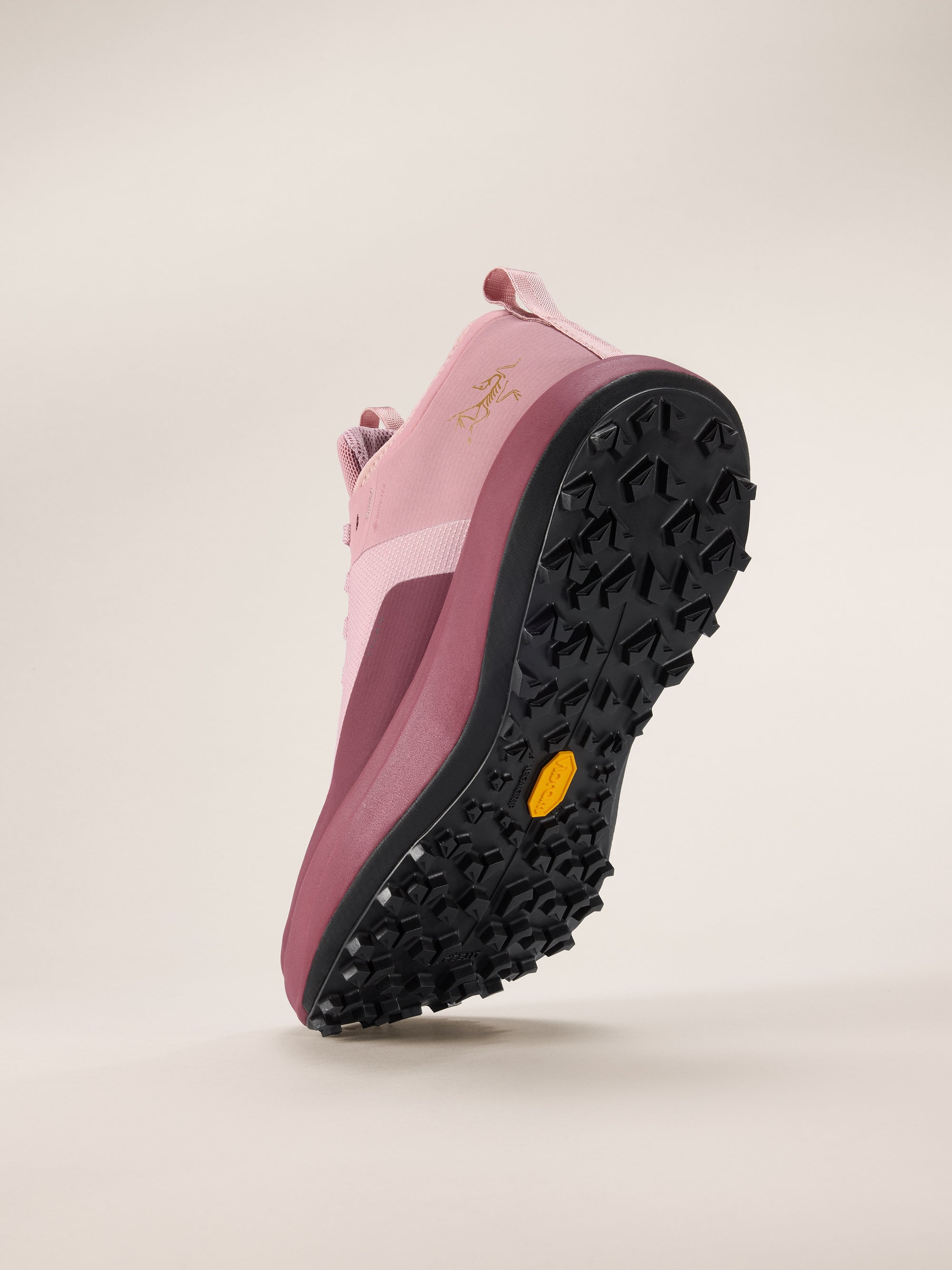 Arc&#39;teryx Sylan GTX Women