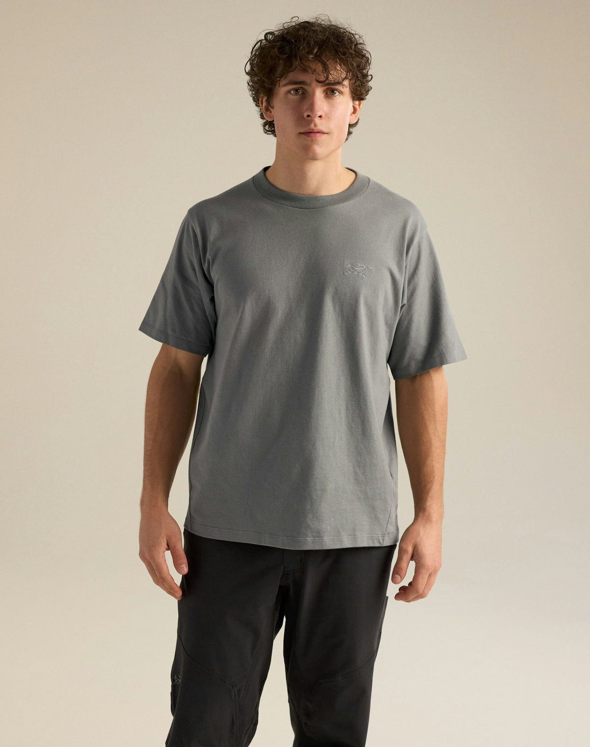 Arc'teryx Kragg Cotton Emblen Crew SS