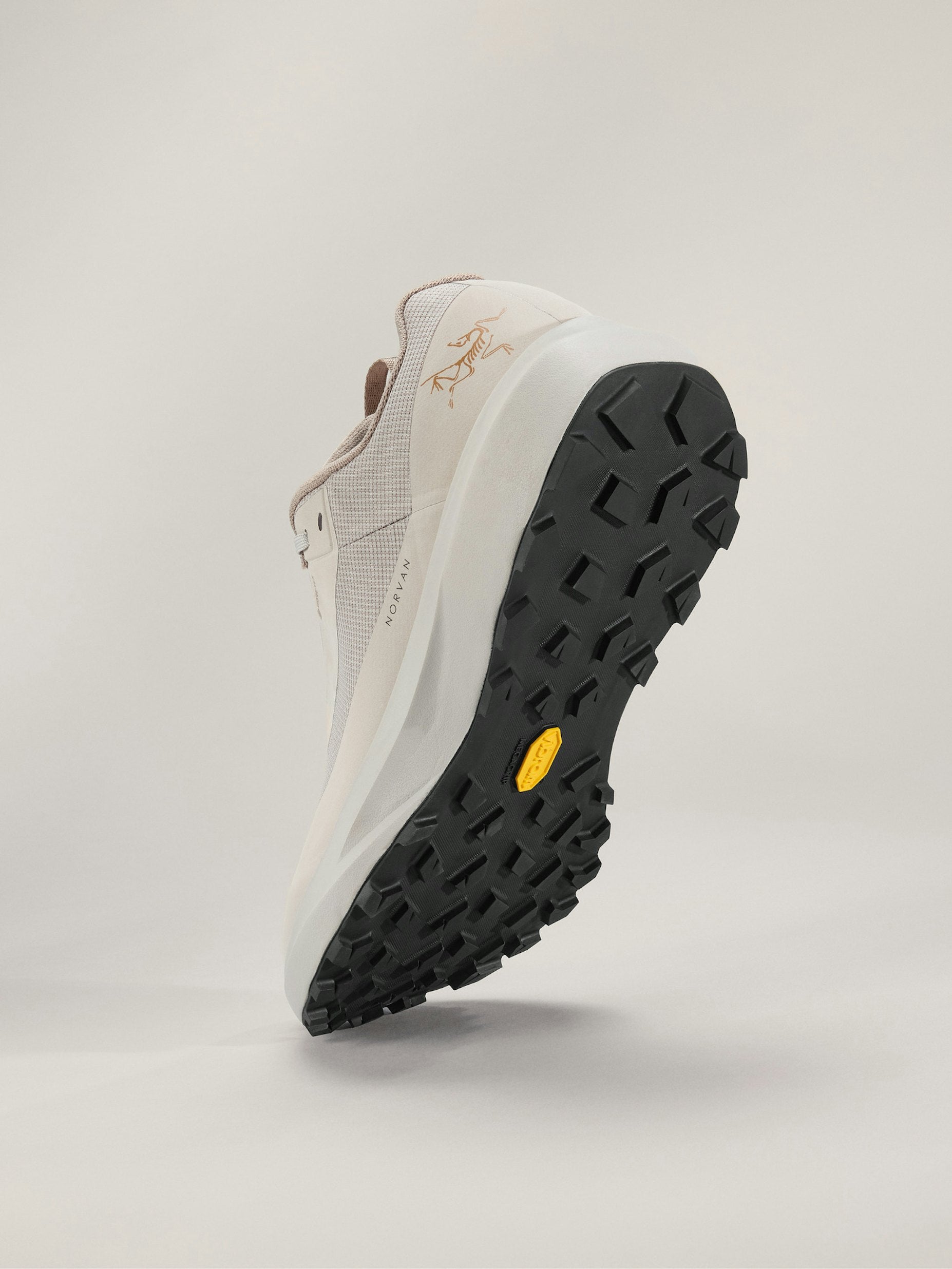 Arc&#39;teryx Norvan LD 4 GTX Homme