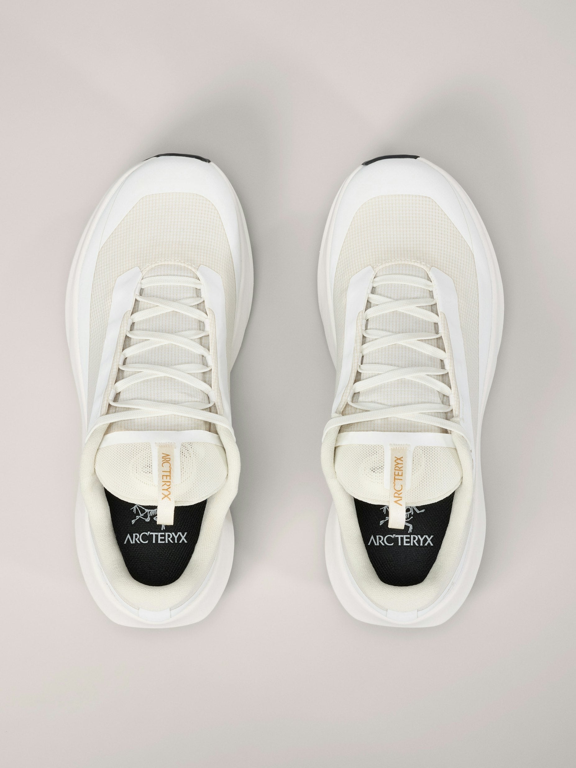 Arc&#39;teryx Norvan LD 4 GTX Femme