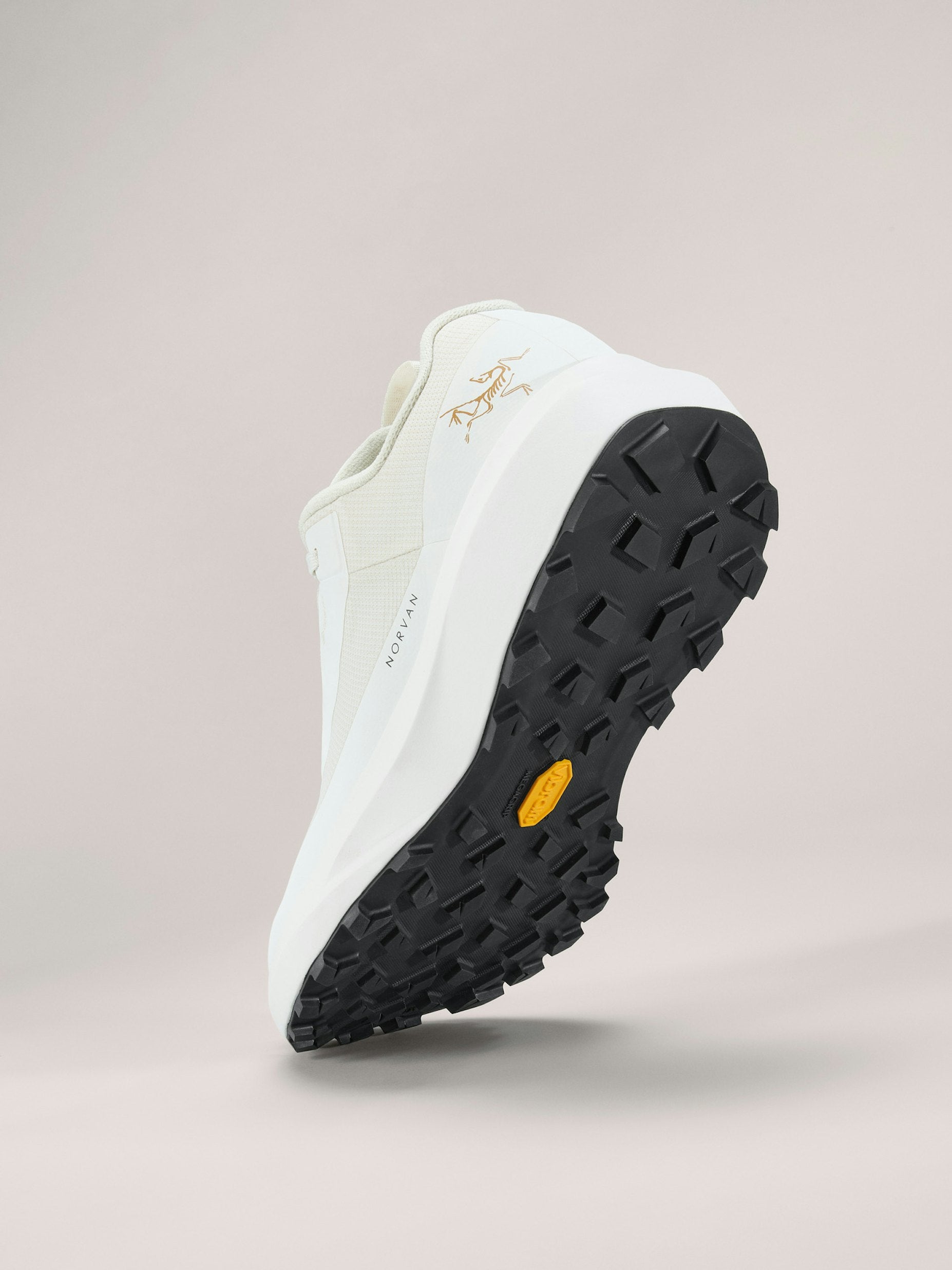 Arc&#39;teryx Norvan LD 4 GTX Femme