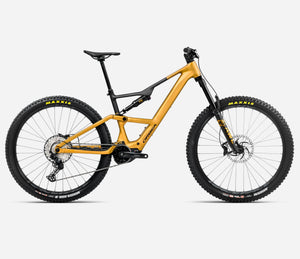 Yellow/Black