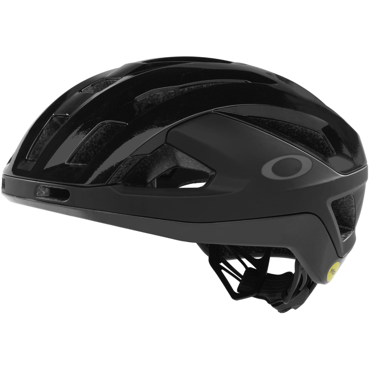 Oakley Aro3 Endurance