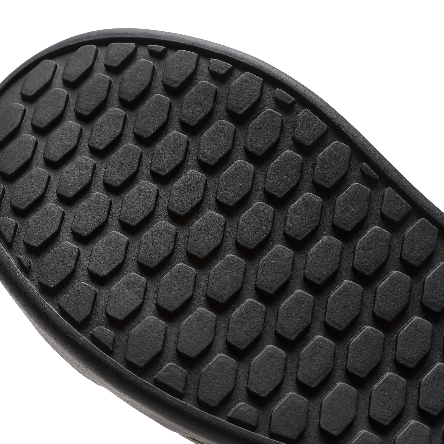 Fox Union Canvas Shoes